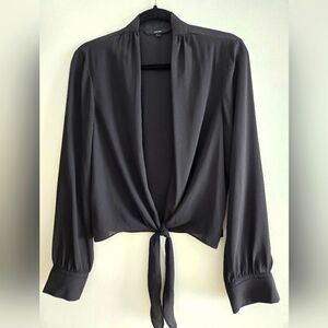 Cropped long sleeve v neck tie waist sheer blouse